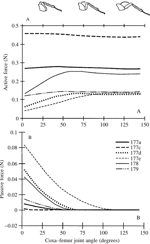 Fig. 5. Extensor musculo-apodeme isometric force production as afunction of joint angle