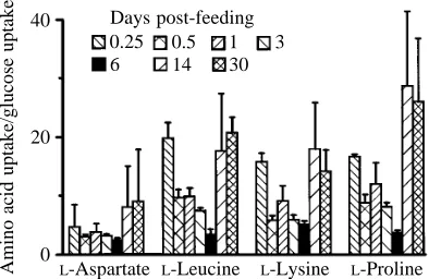 Fig. 3. Intestinal brush-border uptake rates of the amino acids Laspartate, -L-leucine, L-lysine and L-proline and the sugar D-glucose,as a function of days post-feeding