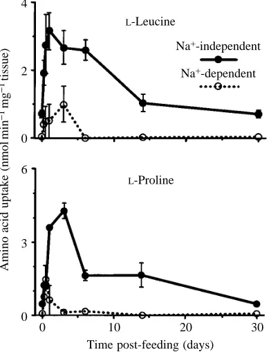 Fig. 6. Uptake capacities of the whole length of the small intestine forLof days post-feeding