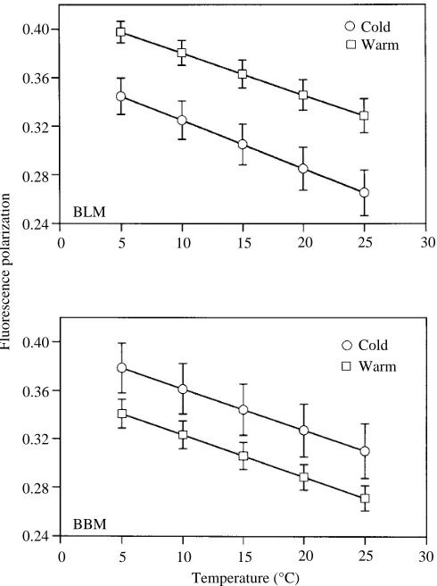 Table 1. Marker enzyme enrichment factors for plasma membranes and intracellular organelles