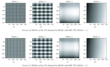 Figure 17: BEMCs of the STI obtained by BEMD with RBF-TPS (MNAI = 5).