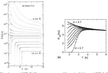 Figure 1.2: Resistance vs. temperature traces in typical superconductor-insulatortransition (SIT) experiments tuned by disorder (left, taken from Ref