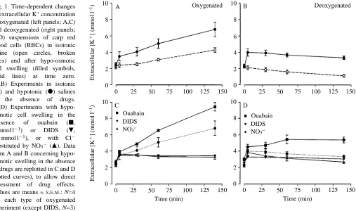 Fig. 1. Time-dependent changesin extracellular K+ concentration