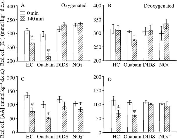 Fig. 3. Intracellular K+Values are means ±( (A,B) and amino acid (C,D)contents in oxygenated (A,C) and deoxygenated(B,D) carp RBCs before (open bars, time zero) and140min after hypo-osmotic shock (hatched bars) inthe absence (HC, hypo-osmotic control) andp