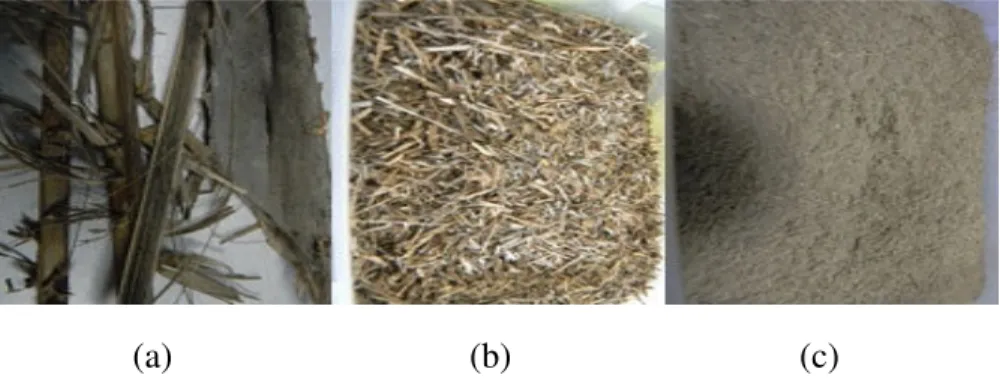 Figure  3.5  until  3.11  presented  all  seven  types  of  biomass  samples  that  already  turned  into powdery form