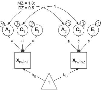 Fig. 4. Cholesky decomposition (ACE model) of variance in behavior (x) in twin-1 andtwin-2, decomposed into A (additive genetic), C (Shared environmental) and E (uniqueenvironmental) components
