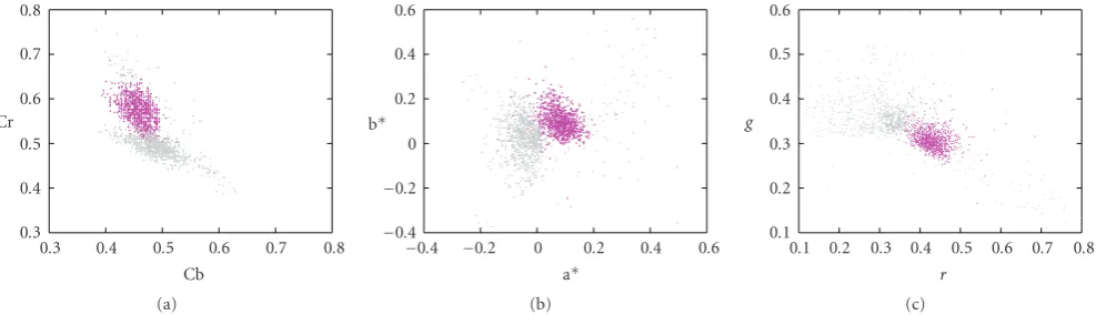 Figure 3: CdB skin (red) and nonskin (gray) samples used for test: (a) in CbCr space; (b) in a∗b∗ components CIEL∗a∗b∗ space; (c) in rgcomponent from normalized RGB.