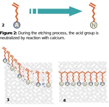 Figure 1: Honeycomb.