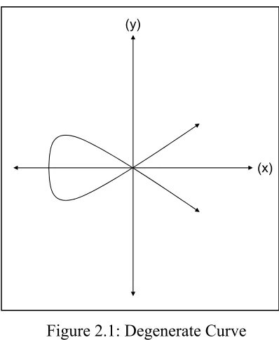 Figure 2.1: Degenerate Curve 