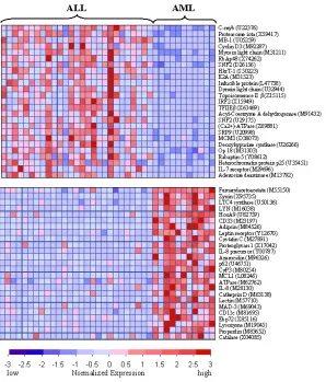 Figure 6. Normalized gene expression values for 50 genes, represented as a heatmap from (Golubet al., 1999)