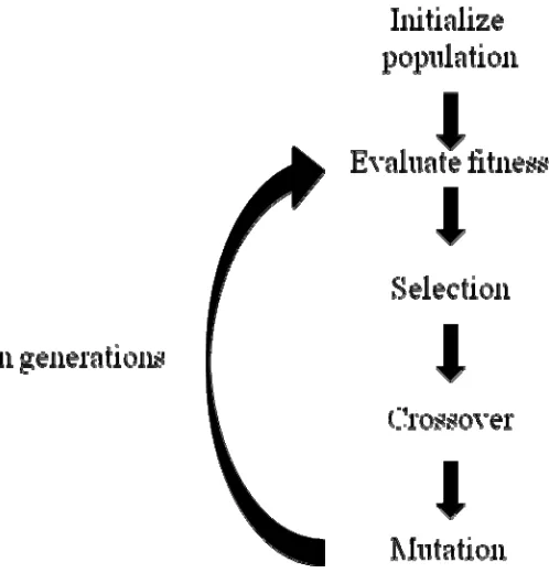 Figure 11 Overview of simple genetic algorithm 