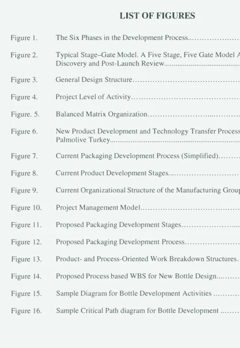 Figure 1. The Six Phases in the Development Process ...........................................