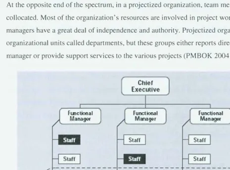 Figure 5. Balanced Matrix Organization (PMBOK 2004) 