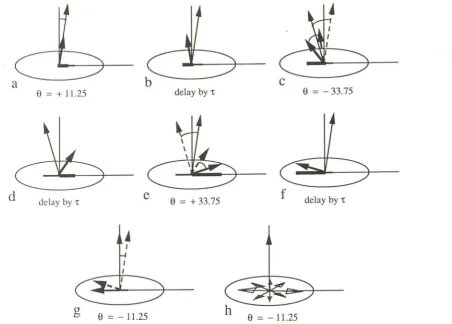 Fig. 1. back after a 3rd throughout third pulse (short vector) magninterval Illustration of the fat saturation 1331 pulse