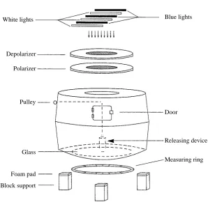 Fig. 1. Vertically ‘exploded’ schematic diagram of the testing arena used in the ﬁrstorientation experiment (population preference experiment)