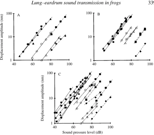 Fig. 7. Intensity-dependence of average displacement amplitudes for (A) Smilisca baudini, (B)  Hyla cinerea and (C) Osteopilus septentrionalis