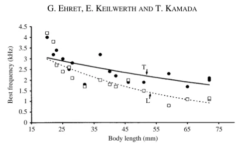 Fig. 8. Relationship between body length and the best response frequency of the tympanum T (filled circles) and lung area of the body wall L (open squares) of all 16 individual frogs investigated (for equations, see Discussion).