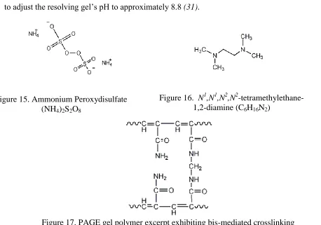 Figure 15. Ammonium Peroxydisulfate                    Figure 16.  N1,N1,N2,N2-tetramethylethane-1,2-diamine (CHN) 