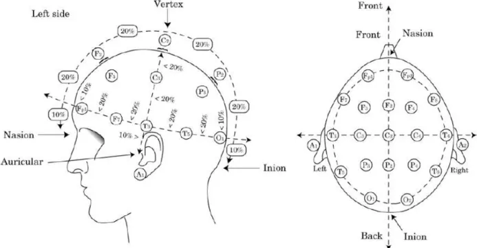 Figure 1.5: International 10-20 System used to record EEG.  This method was first described by  Jasper in 1958 (106), and was designed to create a reproducible method to place EEG electrodes