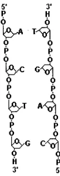 Fig 1.4:Double Helical