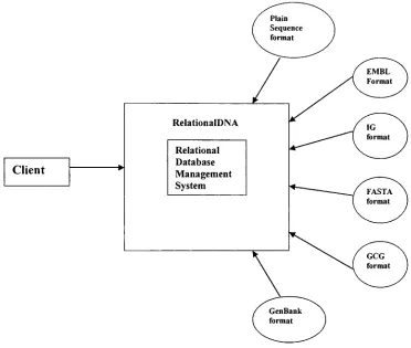 Fig 3.2:DNAsequence data isavailable in different format.