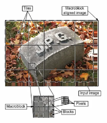 Figure 1.2. Spatial Layout of Macroblock Aligned Image [13,18] 