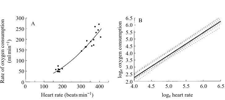 Table 1. Regression equations of fH (beats min−1) versus V˙O∑ (ml min−1) obtained fromeight black-browed albatrosses walking on a treadmill