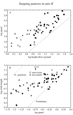 Fig. 1. Locomotory behaviour of ants related to morphology. (A) Double logarithmic plot ofstride length The dashed line (C