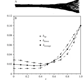 Fig. 2. Amplitude envelope of trout 1. (A) Digitized centre lines of a sequence of bodymovements for trout 1 swimming on the spot in a water tunnel