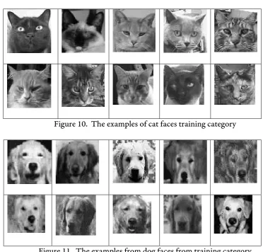 Figure 11.  The examples from dog faces from training category 