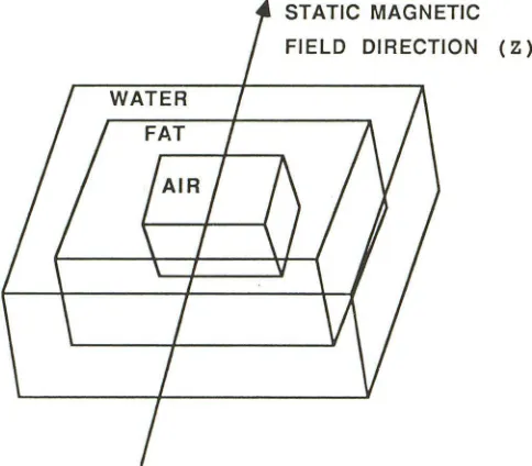 Fig. 2. Coronal images of ph(z600). A, antom (SE / 20); the z axis is indicated by the arrow Image with fat suppression