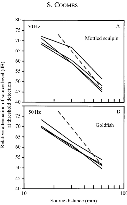 Fig. 4. Source attenuation derived as in Fig. 3, but for thresholds measured at 50 Hz for astimulus near the trunk of both mottled sculpin and goldﬁsh.