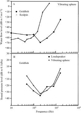 Fig. 7. Threshold detection as a function of frequency plotted in terms of water acceleration(A) and sound pressure (B) levels at the distance of the ﬁsh.