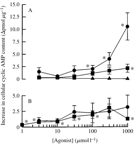 Fig. 5. Effects of ATP and related compounds upon cellular cyclic AMP content. In each offour independent experiments, cellular cyclic AMP content was measured both underAMP (unstimulated conditions and in the presence of various concentrations of ATP or o