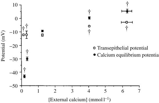 Fig. 2. Dependence of the blood concentrations of total and free calcium on the externalconcentration of calcium for crabs acclimated to 2 ‰ salinity