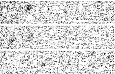 Figure 6 shows the calculated masks for three personsusing samples in CASIA-IrisV3 and Bath iris databases
