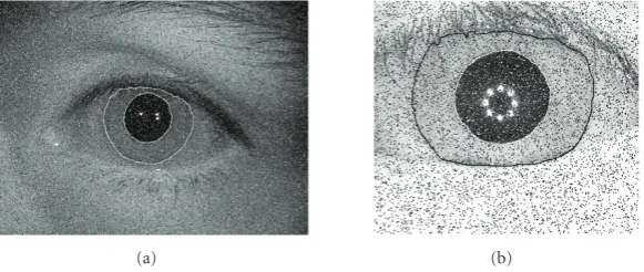 Figure 10: Performance of proposed algorithm in presence of Gaussian noise. For both images we have added a Gaussian white noise withmean = 0 and variance = 0.007.