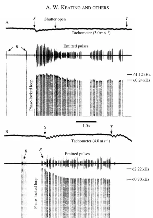 Fig. 3. Examples of typical trials. Strip chart recordings with (A) and without (B) a shutter to shield the animal from echoes; these are referred to as shuttered and unshuttered runs in Table 1