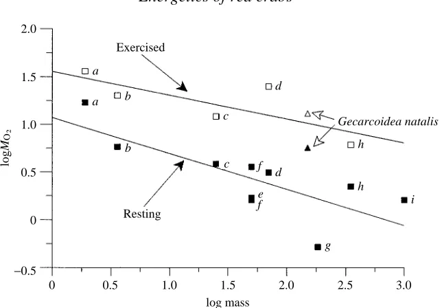 Fig. 11. A reciprocal logarithmic plot of M(1973). Regression analysis of the data provided the equations: rested; logand Randall (1981Davis (1981); (˙ O∑ (in �mol g−1 h−1) on body mass (in g) forrepresentative resting and exercised air-breathing crabs