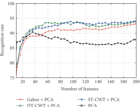 Figure 14: Face recognition performance of the FERET databaseusing PCA, Gabor+PCA, DT-CWT+PCA, and STCWT+PCA forthe δL1(L1) similarity measure