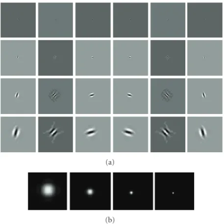 Figure 4: Impulse response of dual-tree complex wavelets at 4 levelsand 6 directions. (a) Real part