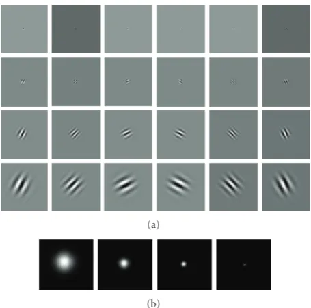 Figure 8: Impulse response of single-tree complex wavelet at 4levels and 6 directions