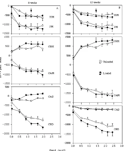 Fig. 3. Peak strains recorded at each site on the tibiotarsus as a function of speed in oneindividual at (A) 8 weeks of age and another individual at (B) 12 weeks of age