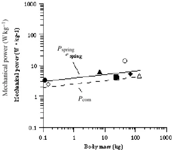 Fig. 5. The ground contact time (t c ) and the resonant period of vertical vibration of the spring-