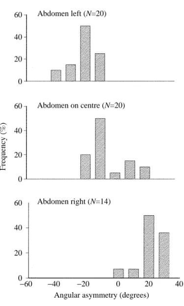 Fig. 11. Frequency distributions of forewing angular asymmetry (averaged for each animal to give one value) associated with the direction of abdominal movement