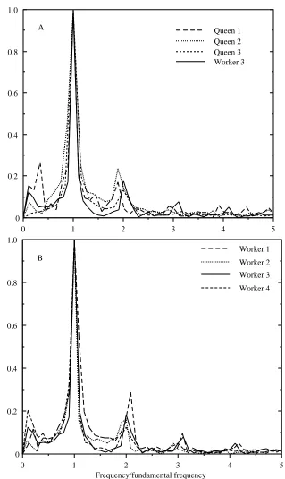 Fig. 2. Normalized Fourier transforms for the muscle movements of the seven bees. Thetransforms are divided into two plots for clarity; the transform of worker 3 is shown in both for