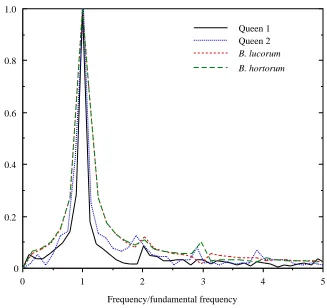 Fig. 3. Fourier transforms of wing movements for queens 1 and 2 (this study), and for twobumblebees in free, hovering ﬂight (data re-analysed from Ellington, 1984).