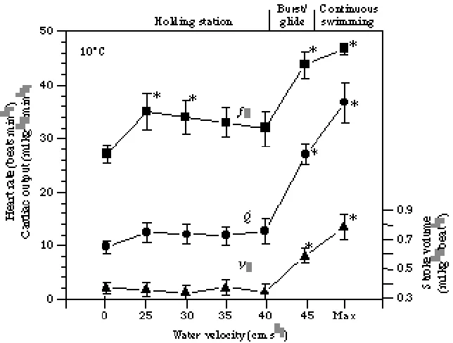 Fig. 4. The inﬂuence of water ﬂow on the mean (±. Measurements were made on the ﬁsh atrest (zero water velocity), holding station against a water ﬂow, swimming in a burst-and-glidestroke volume (ﬁsh when swimming maximally (Max) was 53cmsfashion and swimmi