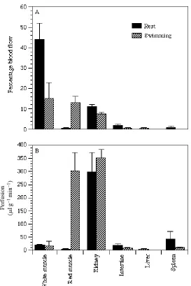 Fig. 8. The distribution of blood ﬂow (percentage) (A) and rates of perfusion (�Means (+(B) to six tissues in the largescale sucker at rest (black bars) and while swimming (grey bars).lg�1 min�1)S.E.) are based upon six ﬁsh at rest and four ﬁsh while swimming.