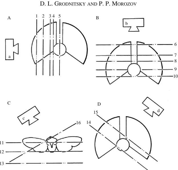 Fig. 1. Different views (a–d: camera position) and light plane positions (1–16). (A) From the side; (B) from above; (C) from the front and side; (D) from the side and above.